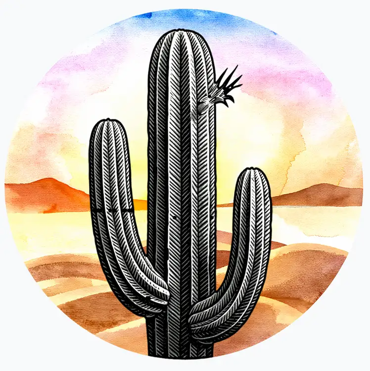 phoenix cactus at sunset
